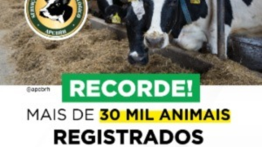 Recorde Mais 30 mil animais registrados